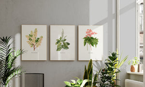 The Vintage Botanicals collection brings nature's diversity to life in elegant drawings with classic charm