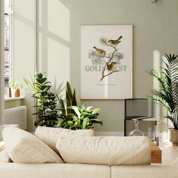 Eurasian wren & goldcrest