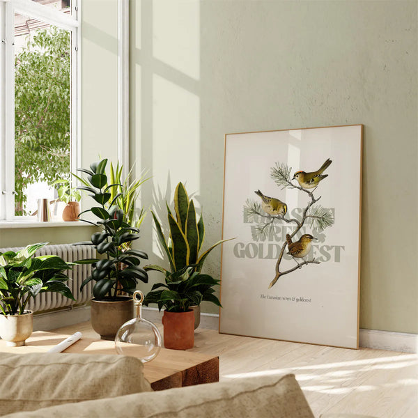 Eurasian wren & goldcrest