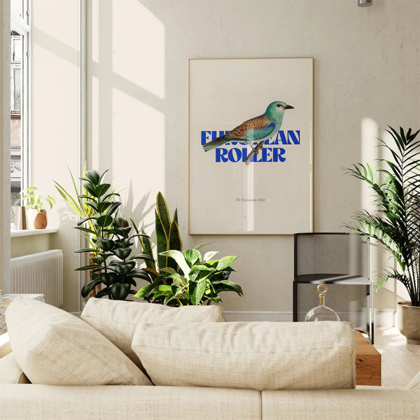European roller